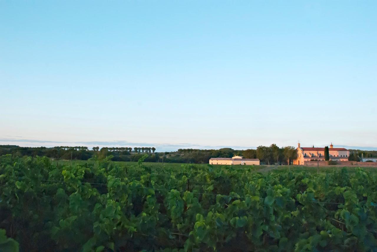 Chartreuse De Mougeres - Caux Pezenas Bed & Breakfast ภายนอก รูปภาพ